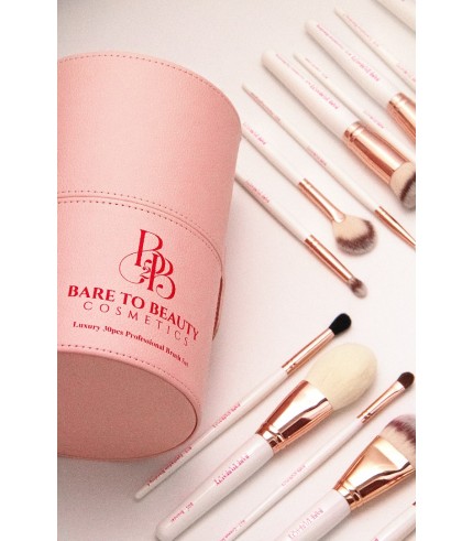 Luxury 26 PCs Brush Set