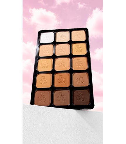 Pro-Master Essential Mix 15 in 1 Perfect Sculpt & Set Powder Pallet For Professional.
