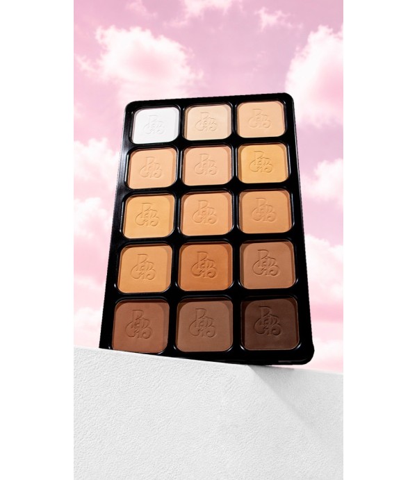 Pro-Master Essential Mix 15 in 1 Perfect Sculpt & Set Powder Pallet For Professional.