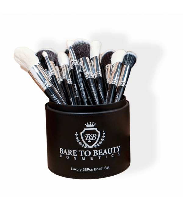 Luxury 26 PCs Brush Set